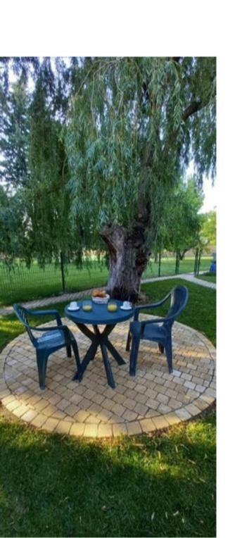 Logement Lumineux, Entierement Renove Avec Jardin Caumont-sur-Durance Exterior photo